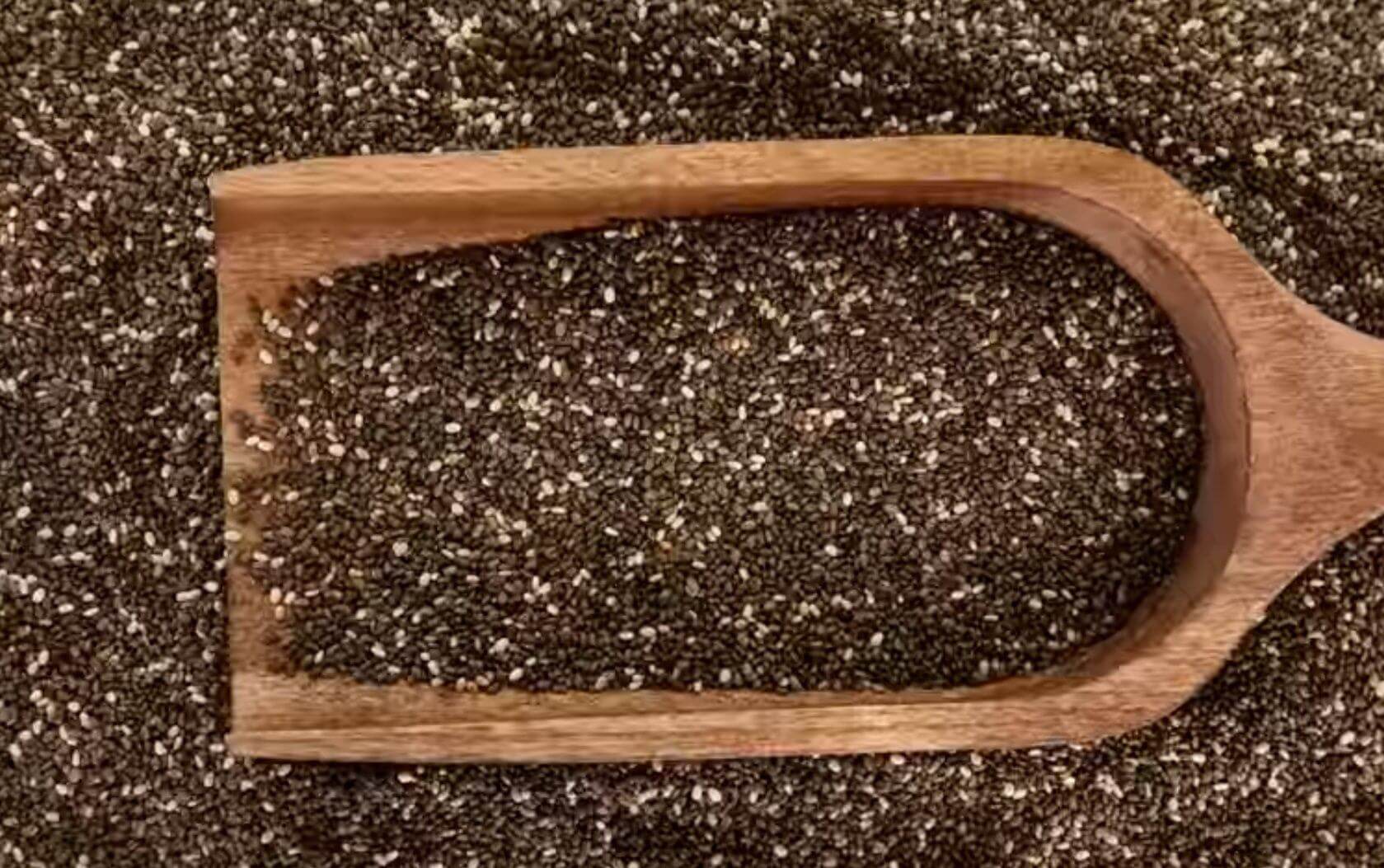 Comment faire germer des graines de chia
