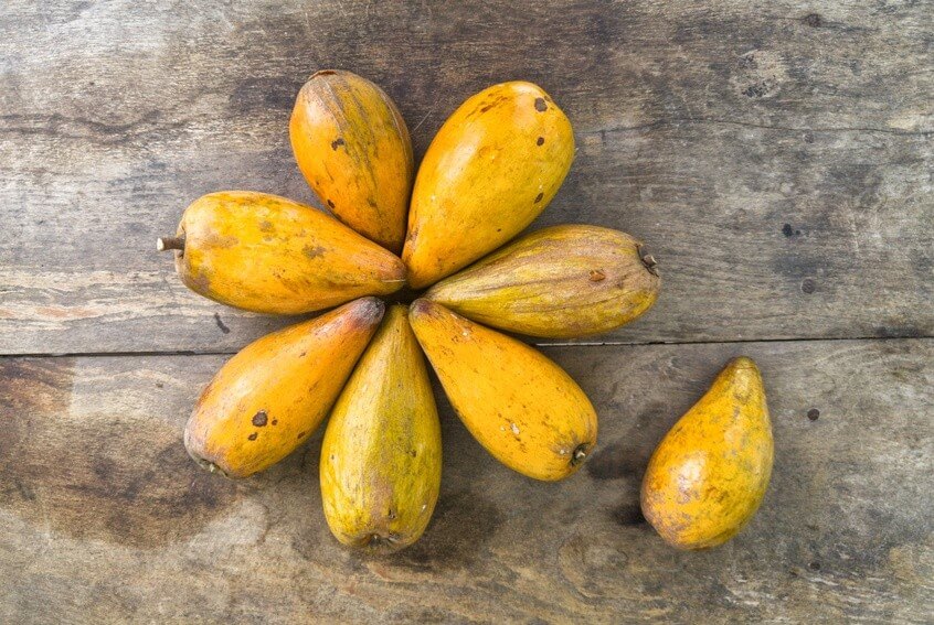 Découvrez le lucuma, fruit merveilleux du Pérou