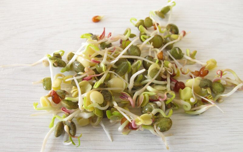 De délicieuses suggestions de recettes parfumées avec des graines germées