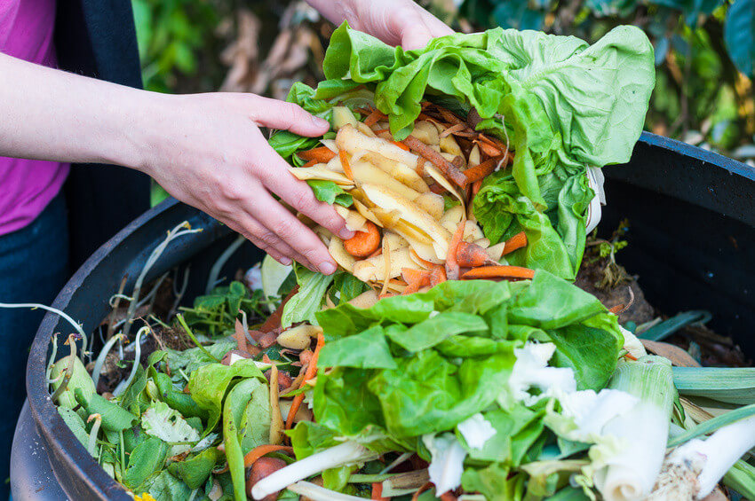 Quels déchets peut-on mettre au compost ?
