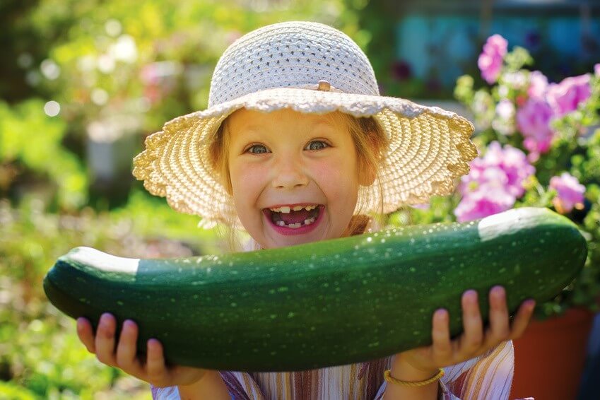 Profitez des fruits et légumes de juillet !