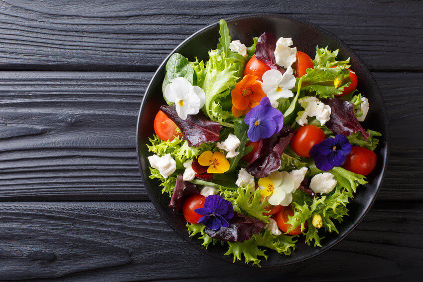 Conseil de Bastien : mes plats à base de fleurs comestibles