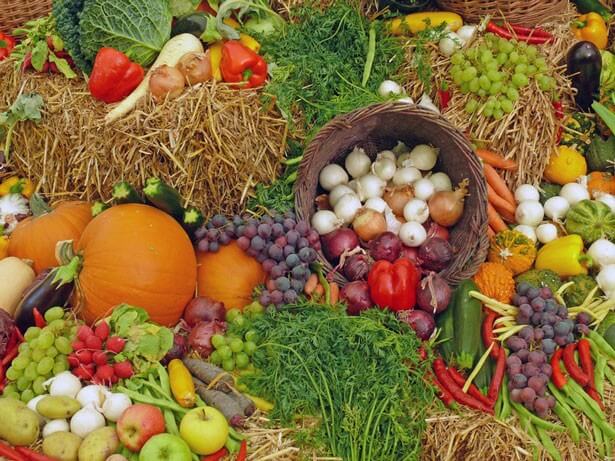 Découvrez vite le calendrier des fruits et légumes d’octobre !