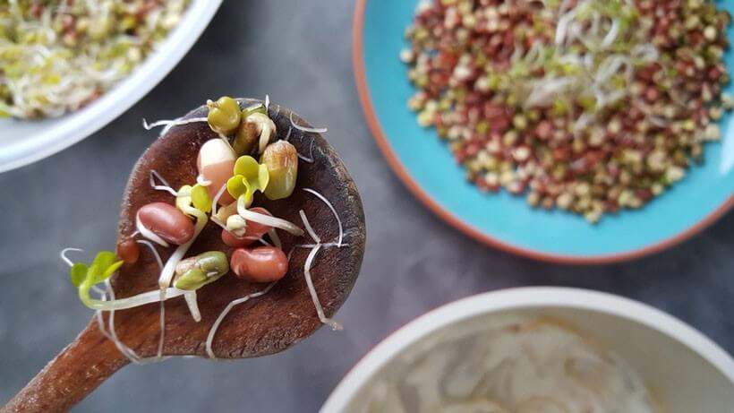 Conseil de Bastien : ma recette de salade aux graines germées