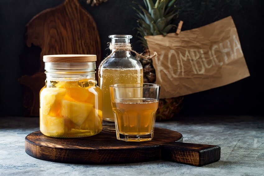 Conseil de Bastien : profitez des probiotiques du Kombucha