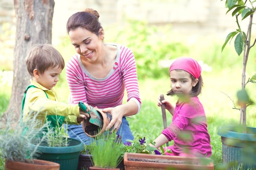 Comment participer à un jardin partagé : tout savoir