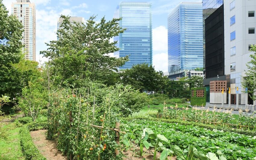 Des potagers partagés à l’Incredible Edible, retour à la culture du partage
