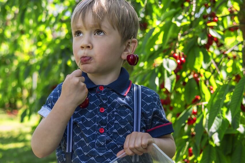 Pourquoi manger des fruits et légumes de saison ?